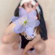 ヒメ日記 2025/01/09 13:40 投稿 芽愛(めい) Ｓ＆Ｍ　極嬢