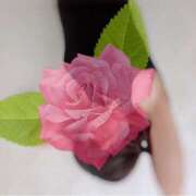 ヒメ日記 2025/01/12 11:30 投稿 芽愛(めい) Ｓ＆Ｍ　極嬢