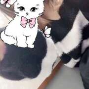 ヒメ日記 2025/02/24 16:30 投稿 芽愛(めい) Ｓ＆Ｍ　極嬢