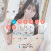 ヒメ日記 2025/10/30 14:41 投稿 そふぃあ とある風俗店♡やりすぎさーくる新宿大久保店♡で色んな無料オプションしてみました