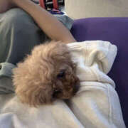 ヒメ日記 2025/07/02 11:39 投稿 いちご 彼女の部屋本店