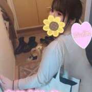 ヒメ日記 2025/09/12 18:21 投稿 りりす 東京♂風俗の神様 町田・相模原店