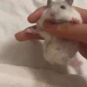 ヒメ日記 2025/03/11 00:28 投稿 きほ 隙のあるエステ