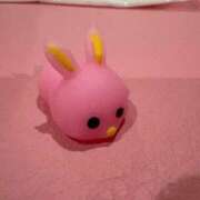 ヒメ日記 2025/11/18 16:44 投稿 なごみ チューリップ福井別館