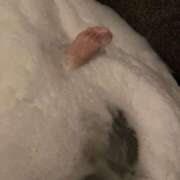 ヒメ日記 2025/04/29 08:33 投稿 瑠衣/Rui ジュリエット