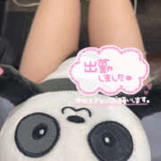 ヒメ日記 2025/03/17 15:11 投稿 ルカ Tiara 姫路