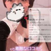 ヒメ日記 2025/02/09 10:18 投稿 ムーン マリン千姫