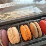 ヒメ日記 2025/06/11 11:56 投稿 ムーン マリン千姫