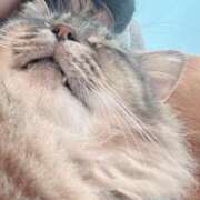 ヒメ日記 2025/07/03 22:21 投稿 ムーン マリン千姫