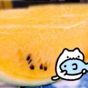 ヒメ日記 2025/07/15 16:26 投稿 ムーン マリン千姫