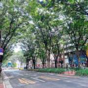 ヒメ日記 2025/08/11 12:46 投稿 ムーン マリン千姫