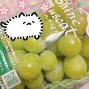 ヒメ日記 2025/08/27 01:22 投稿 ムーン マリン千姫