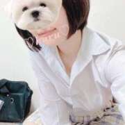 ヒメ日記 2025/10/06 09:21 投稿 はる 電車ごっこ