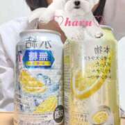 ヒメ日記 2025/10/08 17:40 投稿 はる 電車ごっこ