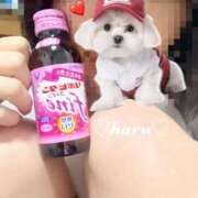 ヒメ日記 2025/11/06 18:20 投稿 はる 電車ごっこ