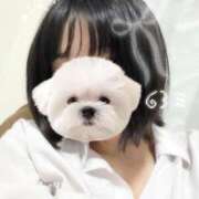 ヒメ日記 2025/11/10 17:20 投稿 はる 電車ごっこ