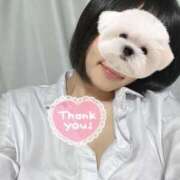 ヒメ日記 2025/11/19 18:25 投稿 はる 電車ごっこ