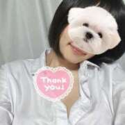 ヒメ日記 2025/11/20 12:06 投稿 はる 電車ごっこ