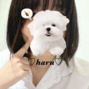 ヒメ日記 2025/11/20 17:25 投稿 はる 電車ごっこ