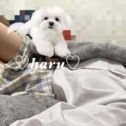 ヒメ日記 2025/11/21 09:47 投稿 はる 電車ごっこ