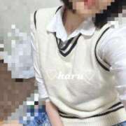 ヒメ日記 2025/11/21 13:25 投稿 はる 電車ごっこ