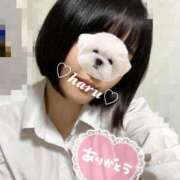 ヒメ日記 2025/11/27 18:28 投稿 はる 電車ごっこ