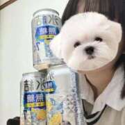 ヒメ日記 2025/11/27 20:20 投稿 はる 電車ごっこ