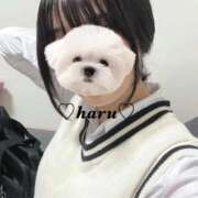 ヒメ日記 2025/12/17 14:20 投稿 はる 電車ごっこ