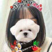 ヒメ日記 2026/01/23 16:30 投稿 はる 電車ごっこ