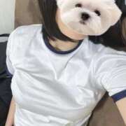 ヒメ日記 2026/01/27 16:37 投稿 はる 電車ごっこ