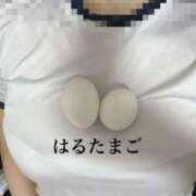 ヒメ日記 2026/01/29 13:28 投稿 はる 電車ごっこ