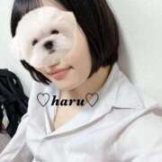 ヒメ日記 2026/02/02 15:40 投稿 はる 電車ごっこ