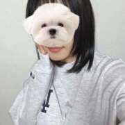 ヒメ日記 2026/03/10 18:00 投稿 はる 電車ごっこ