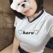 ヒメ日記 2026/03/24 15:50 投稿 はる 電車ごっこ