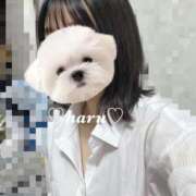 ヒメ日記 2026/03/27 16:10 投稿 はる 電車ごっこ