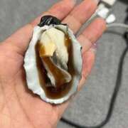 ヒメ日記 2026/07/17 13:19 投稿 はる 電車ごっこ