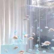 ヒメ日記 2025/06/14 08:48 投稿 詩花（しいか） フュージョンスパ