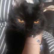 ヒメ日記 2024/12/18 15:44 投稿 高杉てる美 五十路マダム 岐阜店