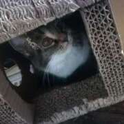 ヒメ日記 2025/01/03 01:56 投稿 高杉てる美 五十路マダム 岐阜店