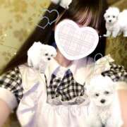 ヒメ日記 2025/03/24 15:15 投稿 えみり しゃんぜりぜ