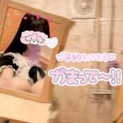 ヒメ日記 2025/04/20 19:19 投稿 えみり しゃんぜりぜ