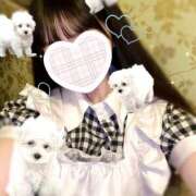 ヒメ日記 2025/06/09 18:16 投稿 えみり しゃんぜりぜ