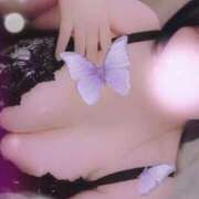 ヒメ日記 2025/05/29 16:48 投稿 るか 長野権堂更埴ちゃんこ