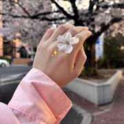 ヒメ日記 2025/04/07 18:49 投稿 ほなみ LOVEキタ兎我野店