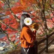 ヒメ日記 2025/11/17 16:13 投稿 ほなみ LOVEキタ兎我野店