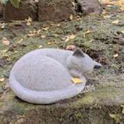 ヒメ日記 2026/01/01 17:53 投稿 れいか Welcome Cafe(ウェルカムカフェ) 八王子本店