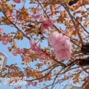 れいか ♡来週の予定♡ Welcome Cafe(ウェルカムカフェ) 八王子本店