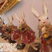 ヒメ日記 2026/04/18 09:53 投稿 れいか Welcome Cafe(ウェルカムカフェ) 八王子本店