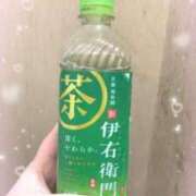 ヒメ日記 2024/09/29 15:00 投稿 ここな 鶯谷スピン