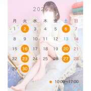 ミナミ 6月の予定🥳 ソープランド マックス